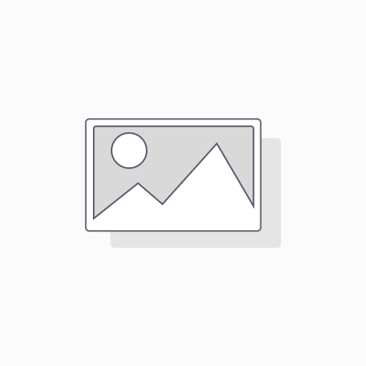 PHW2000 => 2 micrograms